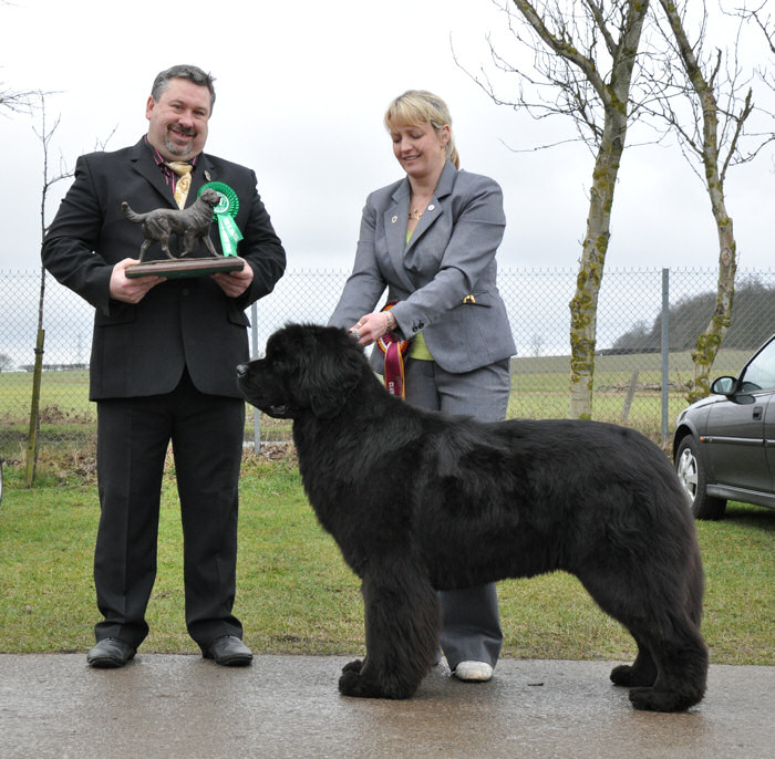 Luna Best In Show at Newfoundland Club Open Show